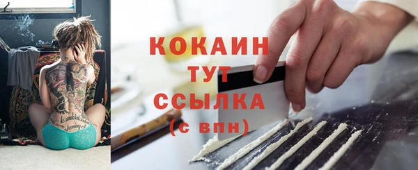 сатива Козельск
