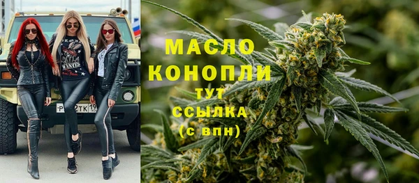 гидра Кинешма
