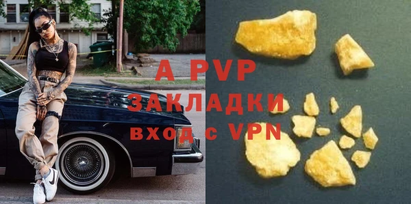 гидра Кинешма