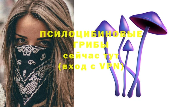 spice Киренск