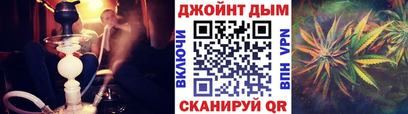 Каннабис сатива  Купить где  Ладушкин 